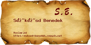 Sükösd Benedek névjegykártya